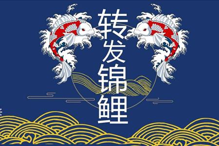 中国刺绣风PPT模板