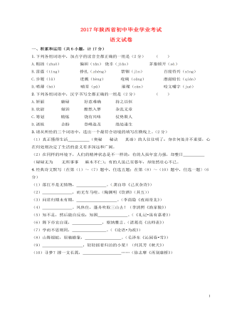 陕西省2017年中考语文真题试题（精美版含答案）