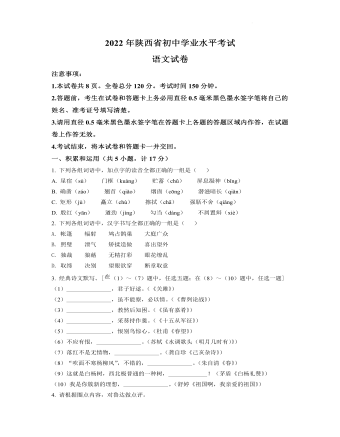 2022年陕西省中考语文真题（精美原卷版）