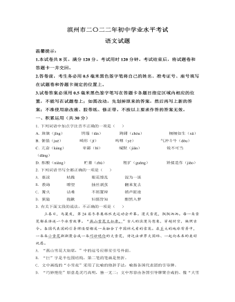 2022年山东省滨州市中考语文真题（精选原卷版）