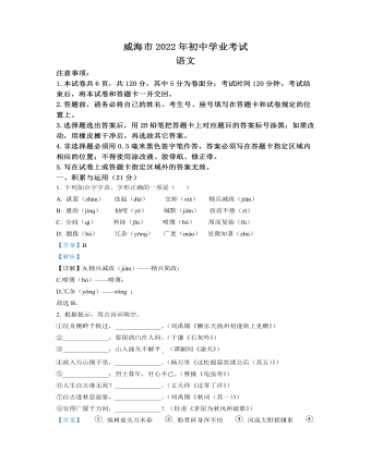 2022年山东省威海市中考语文真题（定制解析版）