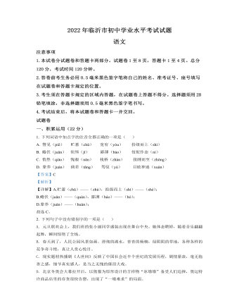 2022年山东省临沂市中考语文真题（订稿解析版）