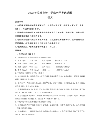2022年山东省临沂市中考语文真题（精品原卷版）