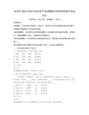 2022年四川省宜宾市中考语文真题（内容解析版）