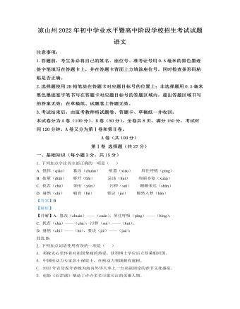 2022年四川省凉山州中考语文真题（精选解析版）