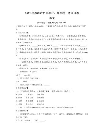 2022年内蒙古赤峰市中考语文真题（精选解析版）