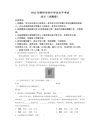 2022年湖南省郴州市中考语文真题（定制原卷版）