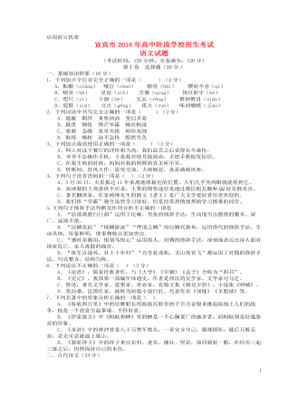 四川省宜宾市2016年中考语文真题试题（定制版含答案）