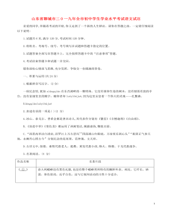 山东省聊城市2019年中考语文真题试题(定制版)