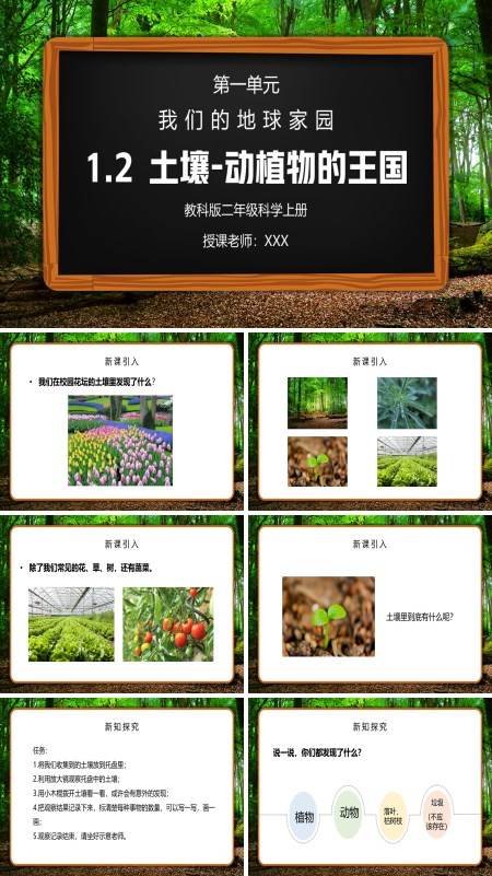 《我们的地球家园-土壤-动植物的乐园》PPT课件