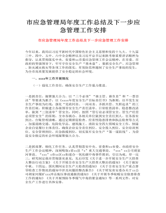 市应急管理局年度工作总结及下一步应急管理工作安排(最全)