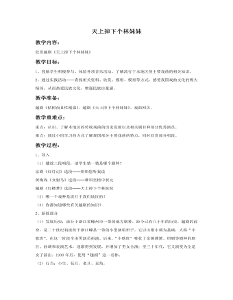 《天上掉下个林妹妹》教案 (最终版)