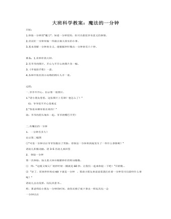 大班科学教案：魔法的一分钟(最全)