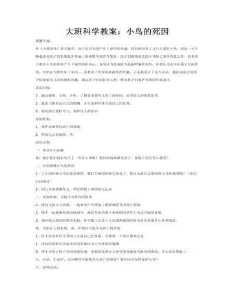 大班科学教案：小鸟的死因(精美版)