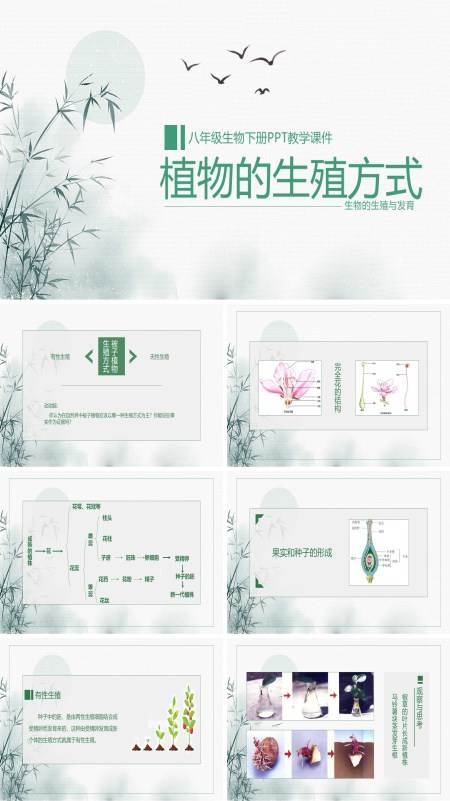 初中语文人教版八年级下册《生物植物的生殖方式》PPT下载课件