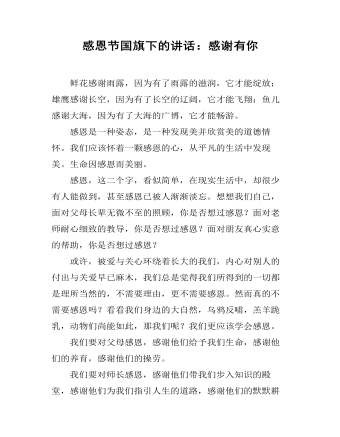 感恩节国旗下的讲话：感谢有你（精修版）