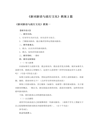 人教版高中语文必修1《新词新语与流行文化》教案2篇（定制版)