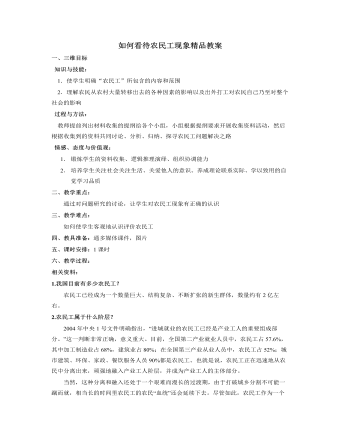 人教版高中地理必修2如何看待农民工现象精品教案（精美版）